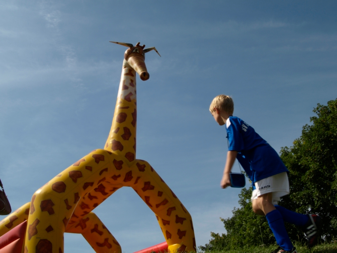 OLYMPUS DIGITAL CAMERA OLYMPUS DIGITAL CAMERA