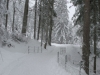 bild0005