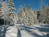 bild0113