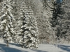 bild0114