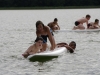 k204393_kl